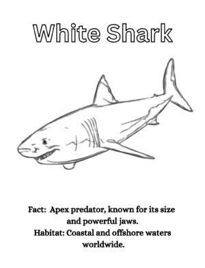 Sea Animal Coloring PDF Book: with facts and habitats - Image 4