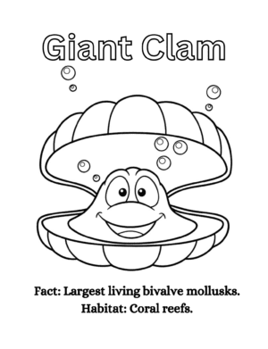 Sea Animal Coloring PDF Book: with facts and habitats - Image 3